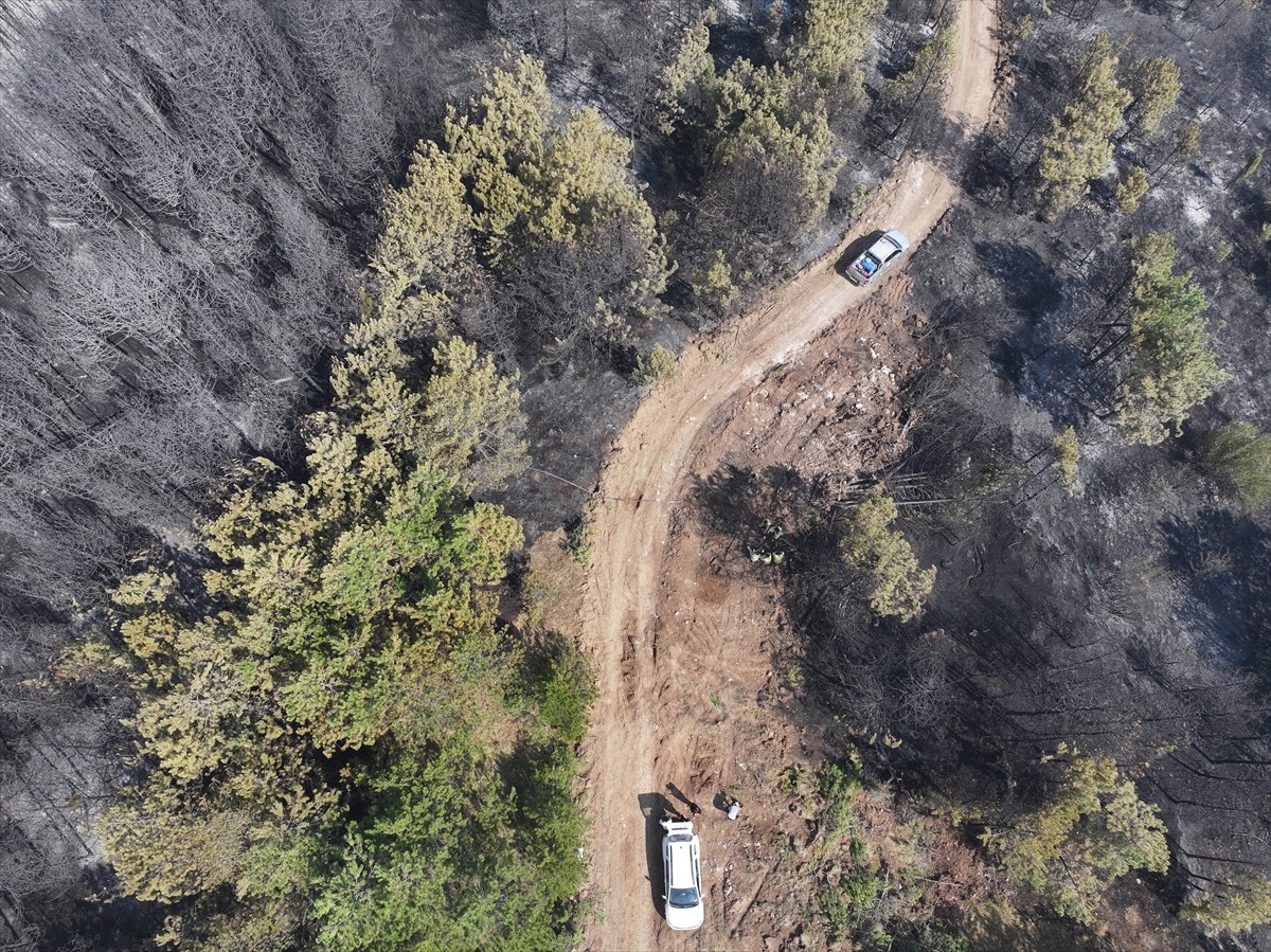 Karabük'te ikinci gününde söndürme çalışmaları devam eden orman yangını nedeniyle 4 mahalle ve 1...
