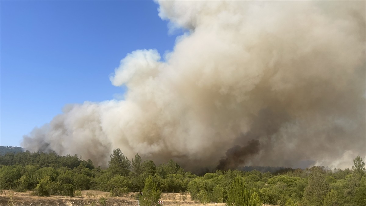 Karabük'te ormanlık alanda çıkan yangın havadan ve karadan müdahaleyle söndürülmeye...