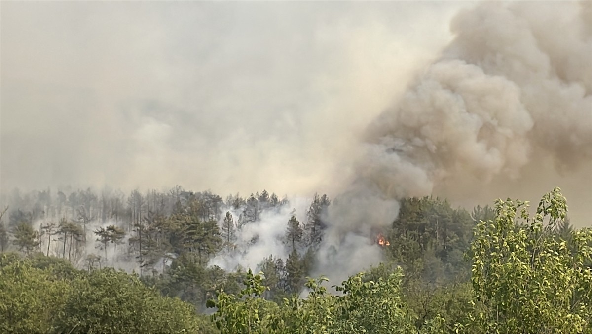 Karabük'te ormanlık alanda çıkan yangın havadan ve karadan müdahaleyle söndürülmeye...