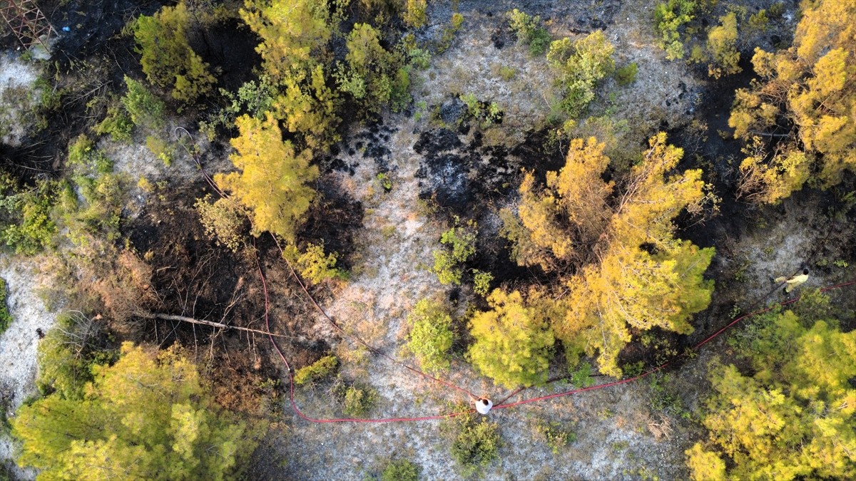 Karabük'ün Ovacık ilçesinde ormanlık alanda çıkan yangın, havadan ve karadan müdahaleyle kontrol...