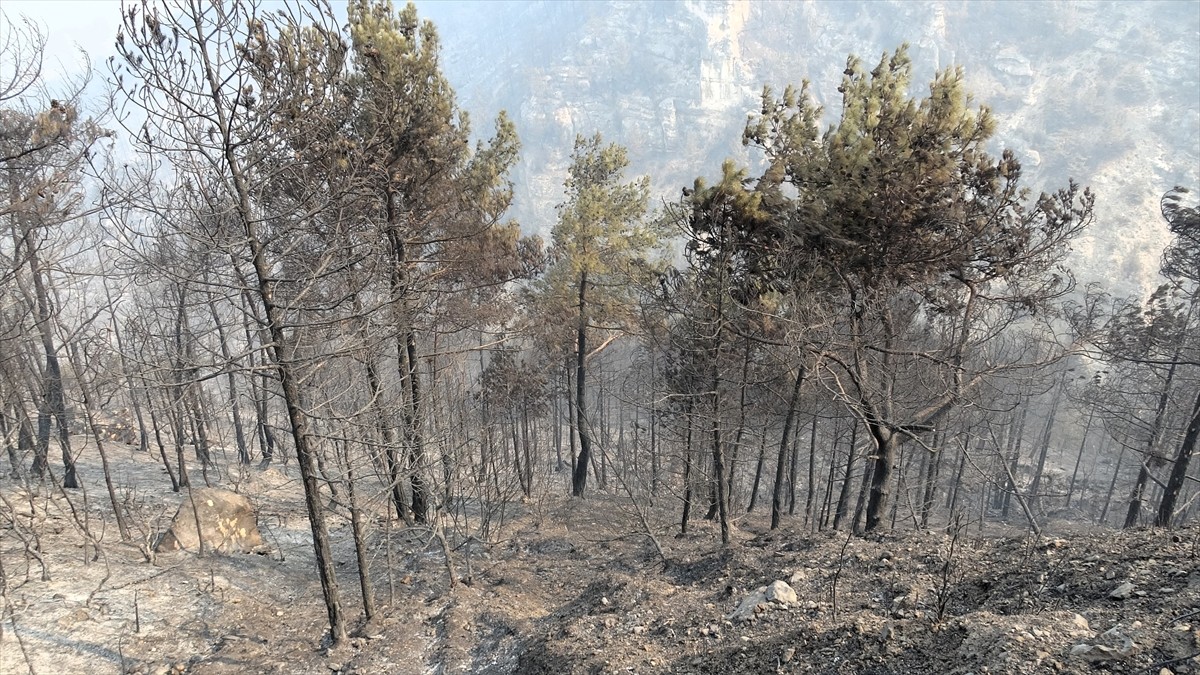 Karabük'ün Safranbolu ilçesinde ormanlık alanda çıkan yangınlar, üçüncü gününde söndürülmeye...
