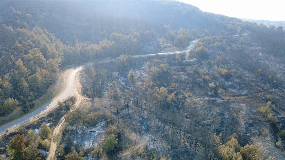 Karabük Merkez, Safranbolu ve Ovacık ilçelerinde kontrol altına alınan orman yangınları...