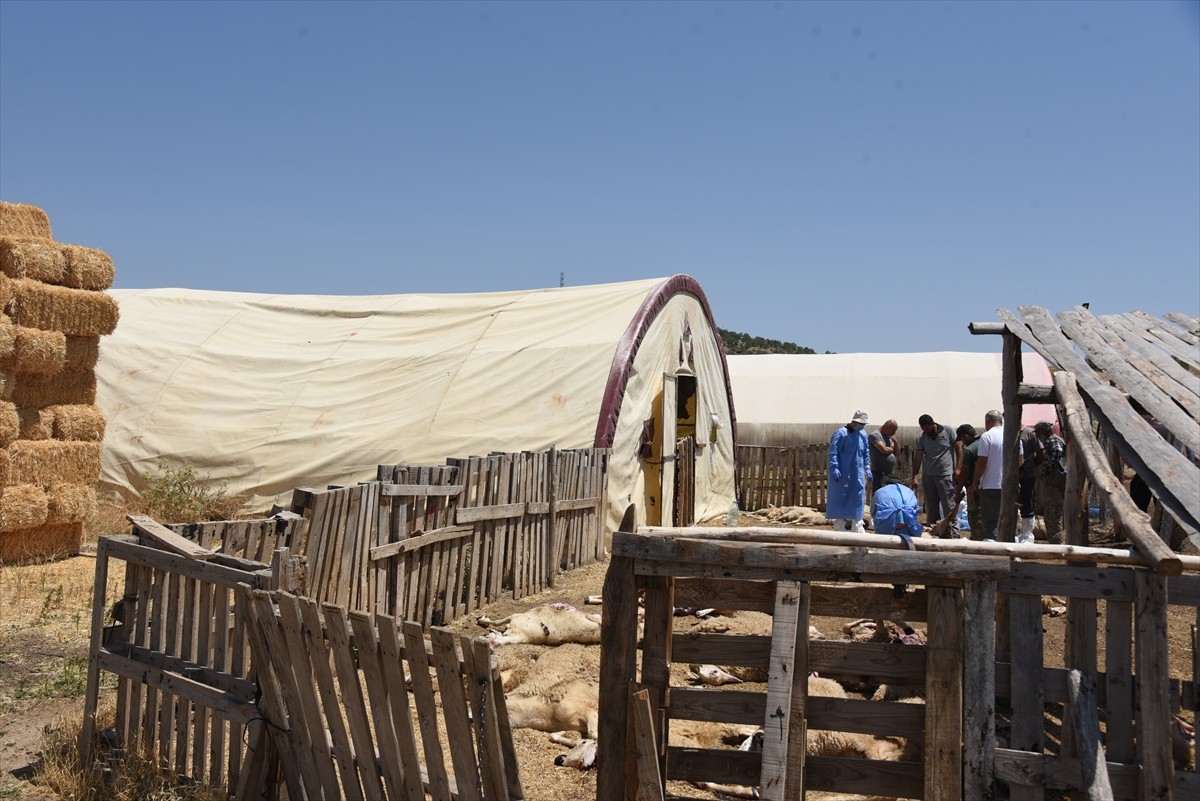Kırıkkale'nin Bahşılı ilçesinde iki ağılda 200 küçükbaş hayvan telef oldu.