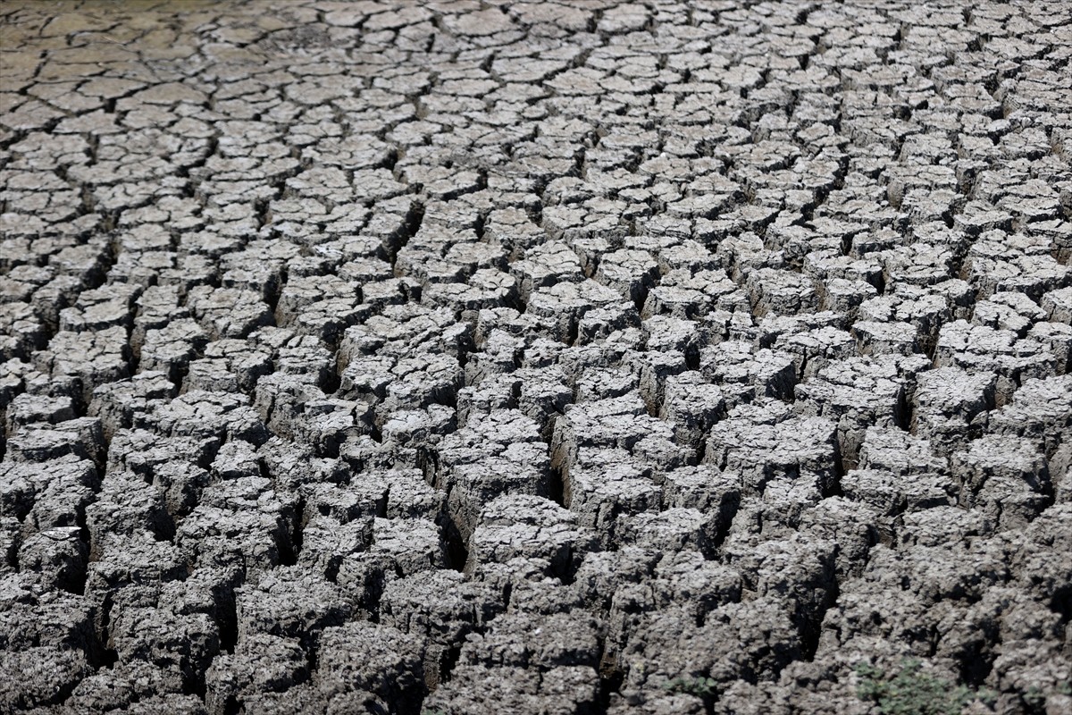Kırklareli'nde kuruma noktasına gelen Müsellim Göleti'ndeki balıklar öldü. Bölgede etkili olan...