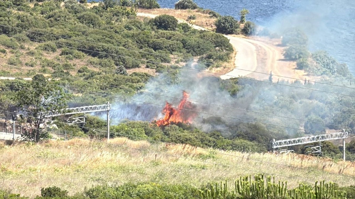 Kocaeli'nin Gebze ilçesinde makilikte çıkan yangın kontrol altına alındı.
