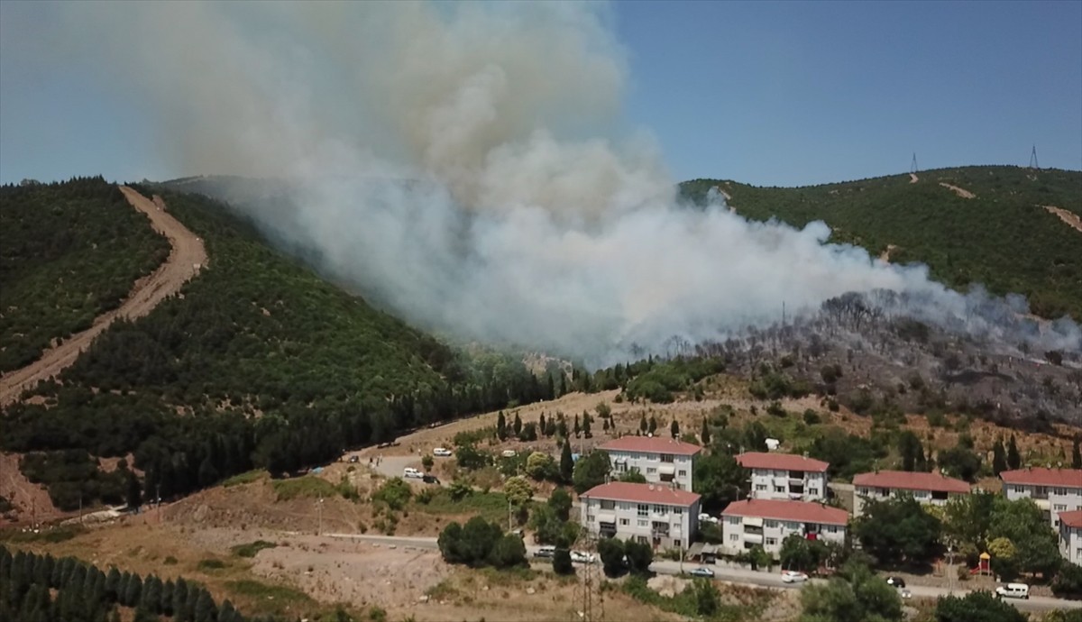 Kocaeli'nin Körfez ilçesinde makilik ve ağaçlık alanda çıkan yangını söndürme çalışmaları...