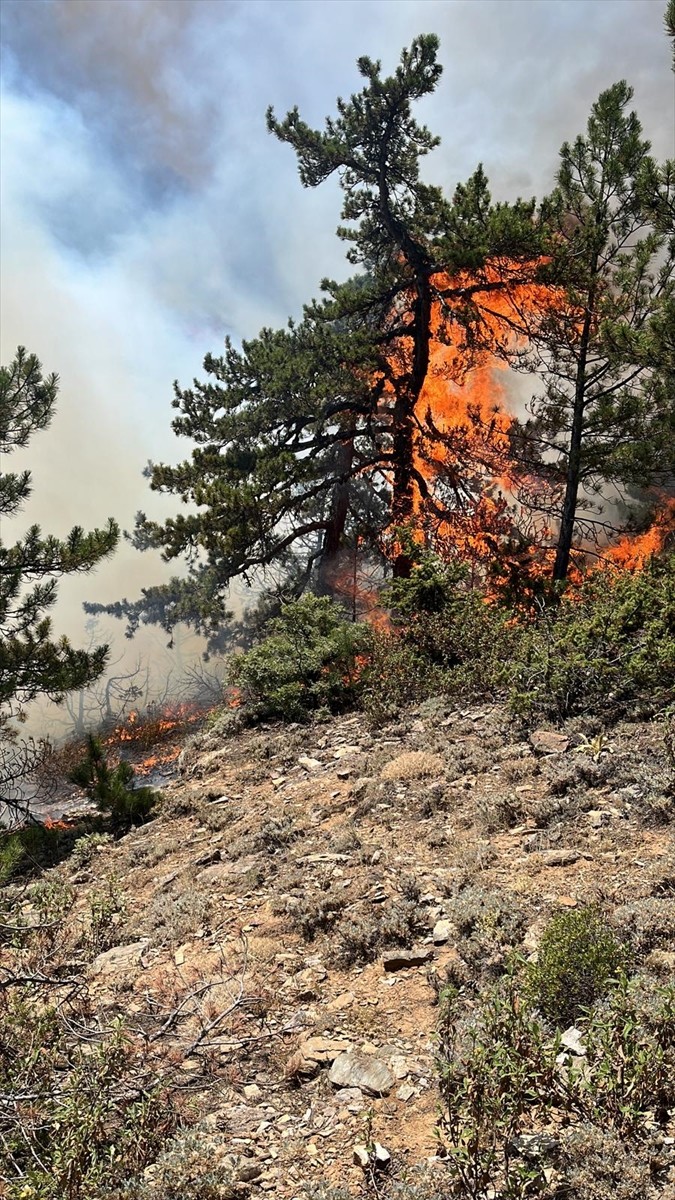 Konya'nın Doğanhisar ilçesinde ormanlık alanda çıkan yangına havadan ve karadan müdahale...