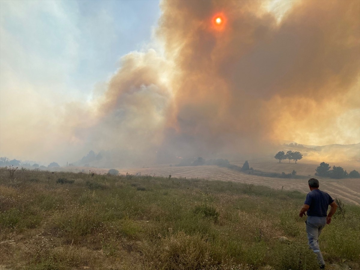 Kütahya'nın Dumlupınar ilçesinde çıkan orman yangınına, havadan ve karadan müdahale...
