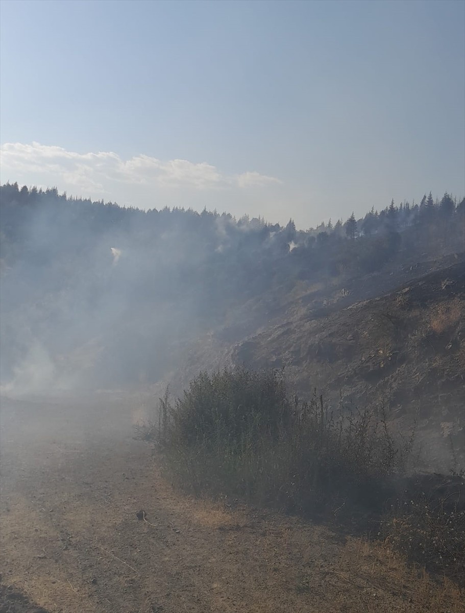 Malatya'nın Pütürge ve Doğanyol ilçelerinde çıkan orman yangınları kontrol altına...