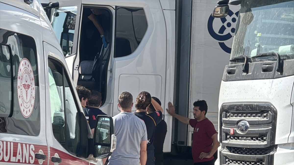 Manisa'dan yüklediği malzemeyi Edirne'ye getiren tır şoförü aracında ölü bulundu. Ekipler, tırda...