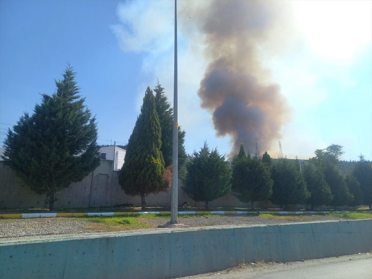 Manisa'nın Yunusemre ilçesinde çıkan orman yangınına havadan ve karadan müdahale ediliyor.