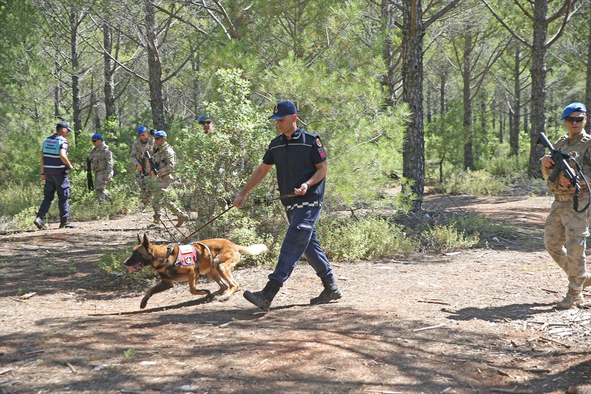 Muğla'da jandarma ve komando ekipleri, yangın riski nedeniyle ormanlık alanlarda devriye görevi...
