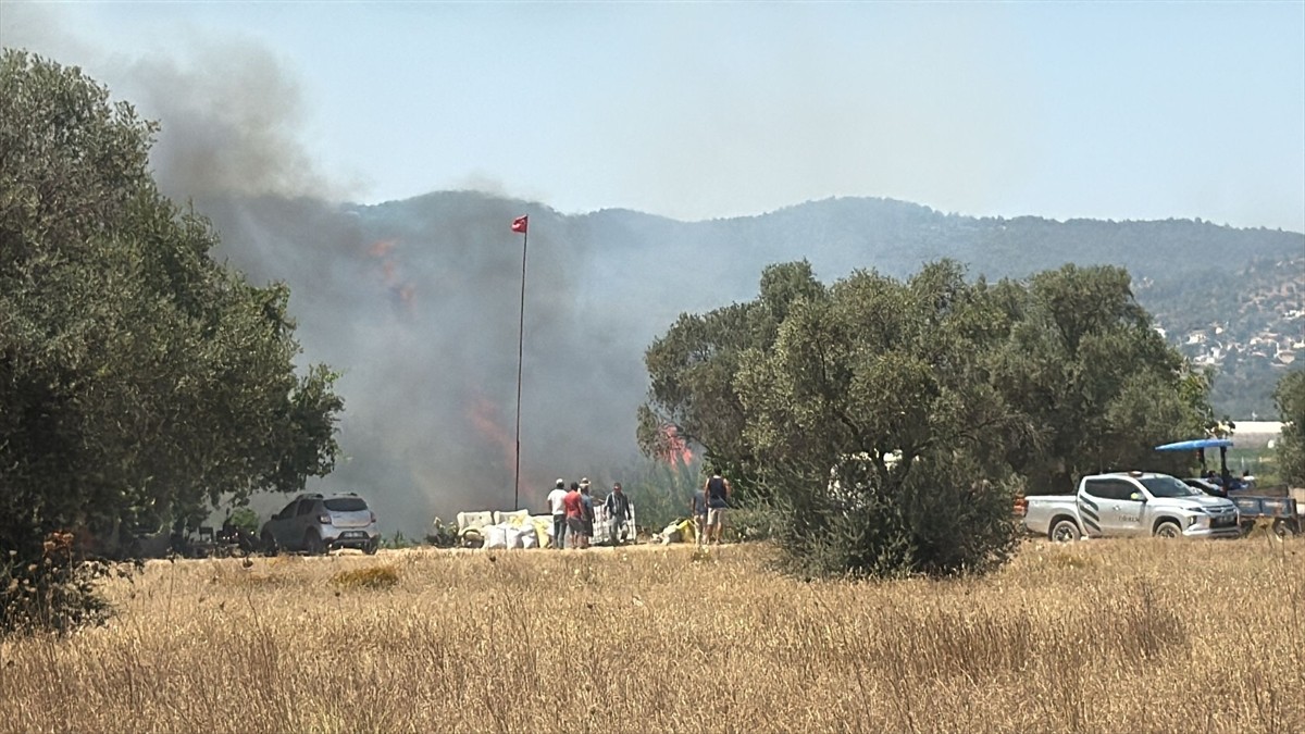 Muğla'nın Bodrum, Milas ve Kavaklıdere ilçelerinde dört noktada çıkan yangınlar kontrol altına...