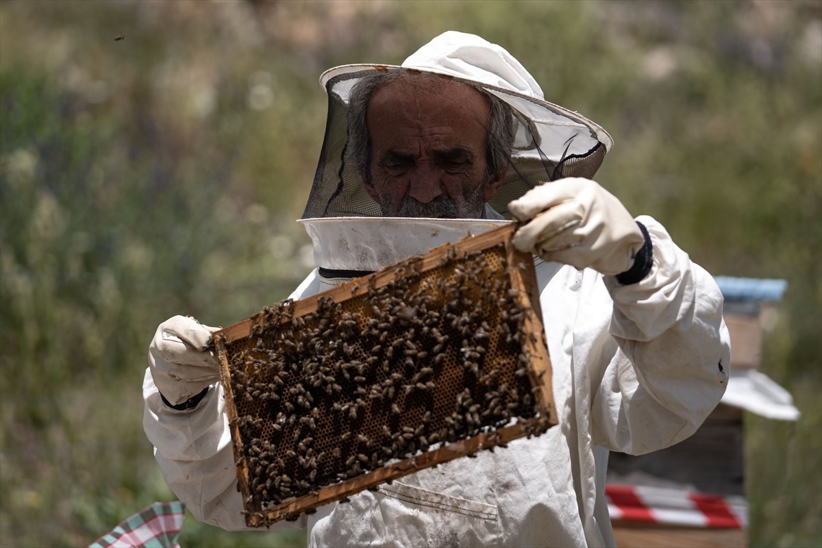 Rize-Erzurum arasında dolmuşçuluk yaparken bir yolcusunun hediye ettiği arı kovanıyla sektör...