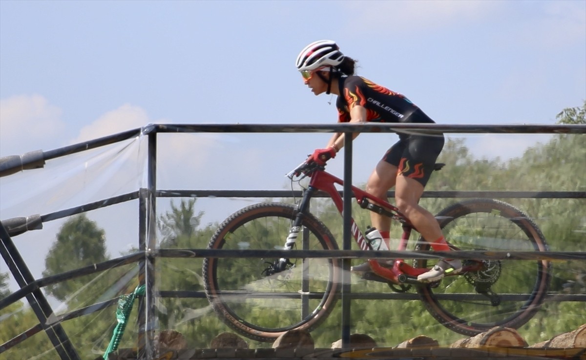 Sakarya'da düzenlenen Tuncer Salihoğlu Dağ Bisikleti Türkiye Şampiyonası, Ayçiçeği Bisiklet...