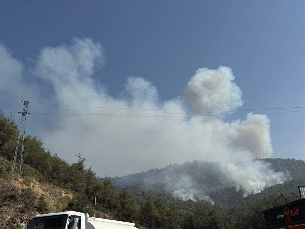 Sakarya'nın Geyve ilçesinde 20 Temmuz'da ormanlık alanda çıkan ve daha sonra Bilecik tarafına...