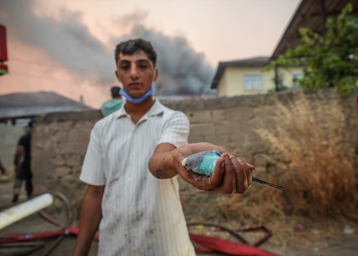 Sakarya'nın Geyve ilçesinde başlayıp Bilecik'e ulaşan, büyük oranda kontrol altına alındıktan...