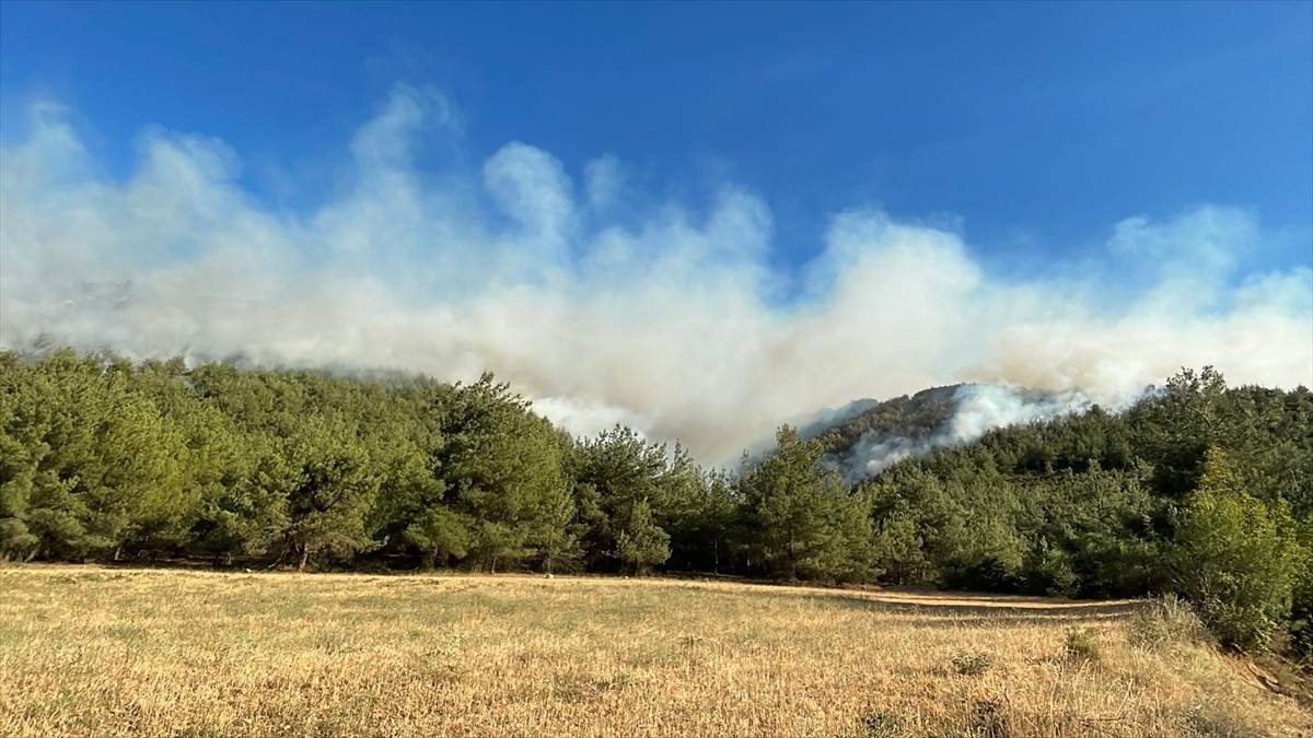 Sakarya'nın Geyve ilçesinde çıkan orman yangını ikinci gününde havadan ve karadan müdahaleyle...
