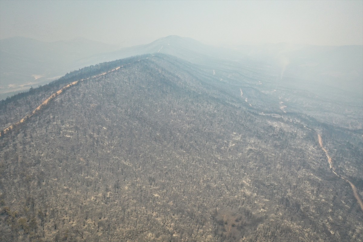 Sakarya'nın Geyve ilçesinde önceki gün ormanlık alanda çıkan ve dün Bilecik tarafına sıçrayan...