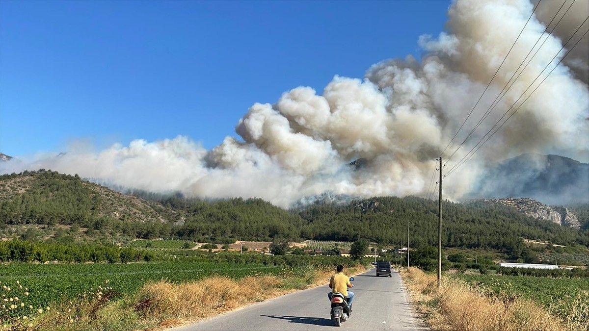 Sakarya'nın Geyve ilçesinde ormanlık alanda çıkan yangın söndürülmeye çalışılıyor.  