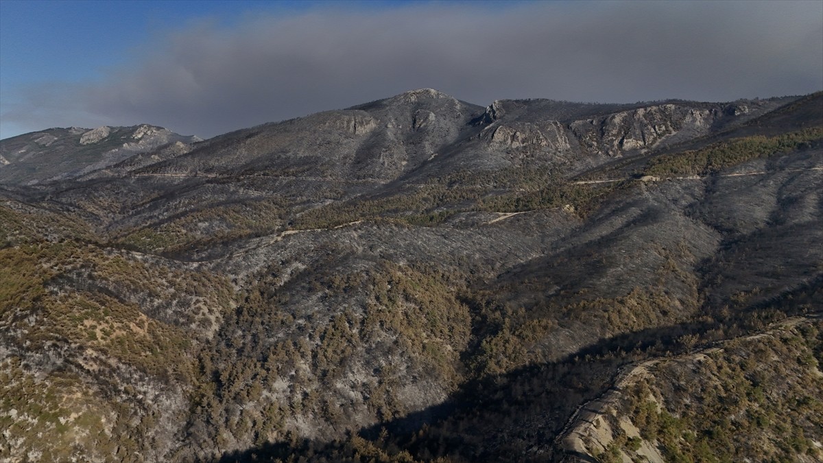 Sakarya'nın Geyve ilçesinde üç gündür süren orman yangının oluşturduğu tahribat dronla...