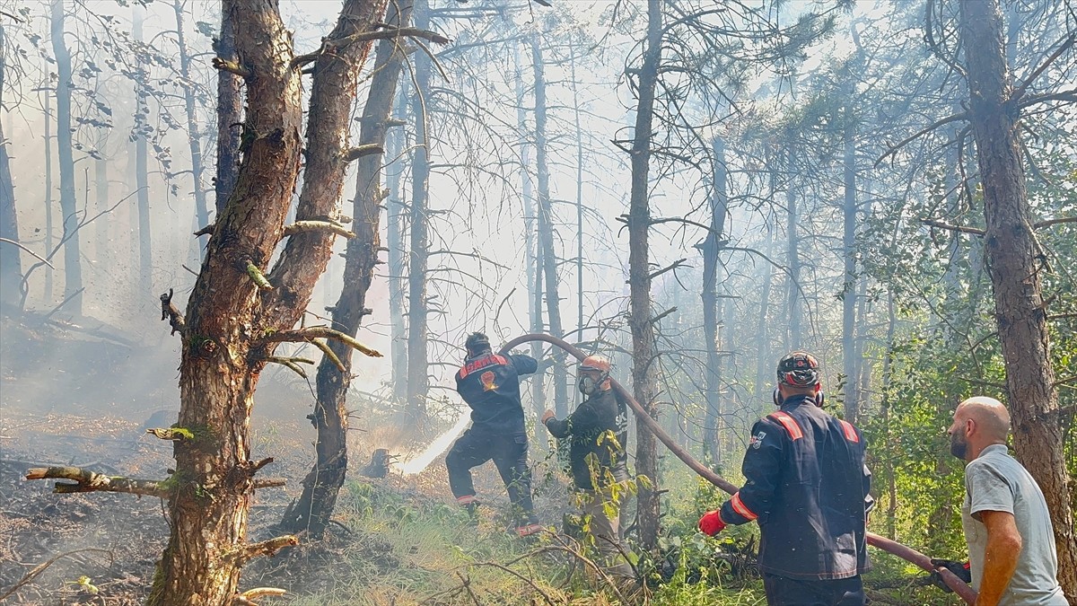 Sakarya'nın Hendek ilçesindeki ormanlık alanda çıkan yangın, söndürülmeye çalışılıyor.