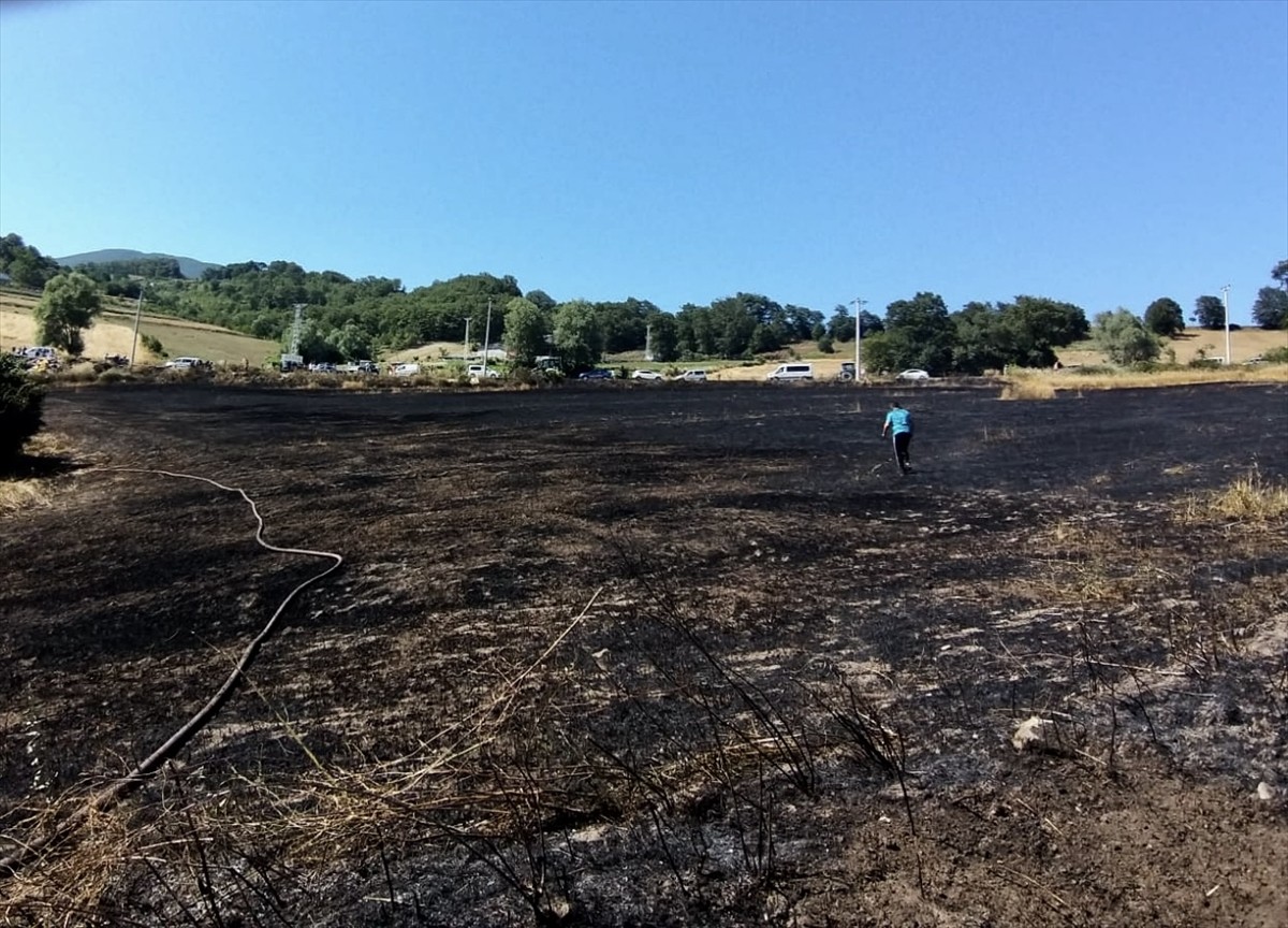 Samsun'un Atakum ilçesinde çıkan yangında 16 dönüm tarım arazisinde zarar oluştu.