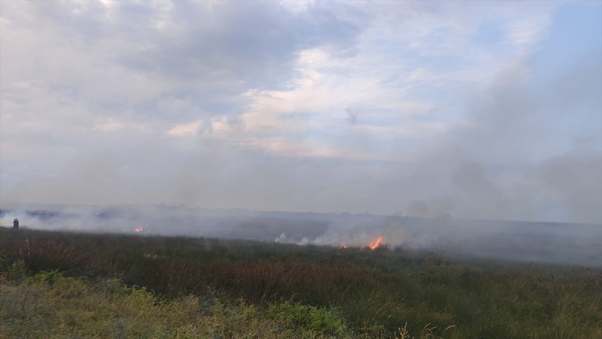 Samsun'un Bafra ilçesindeki Kızılırmak Deltası Kuş Cenneti'nde çıkan yangın söndürüldü.