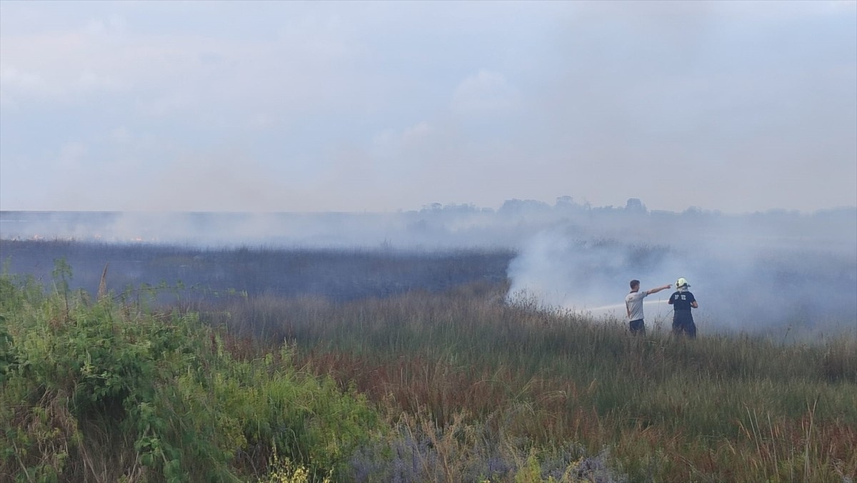 Samsun'un Bafra ilçesindeki Kızılırmak Deltası Kuş Cenneti'nde çıkan yangın söndürüldü.
