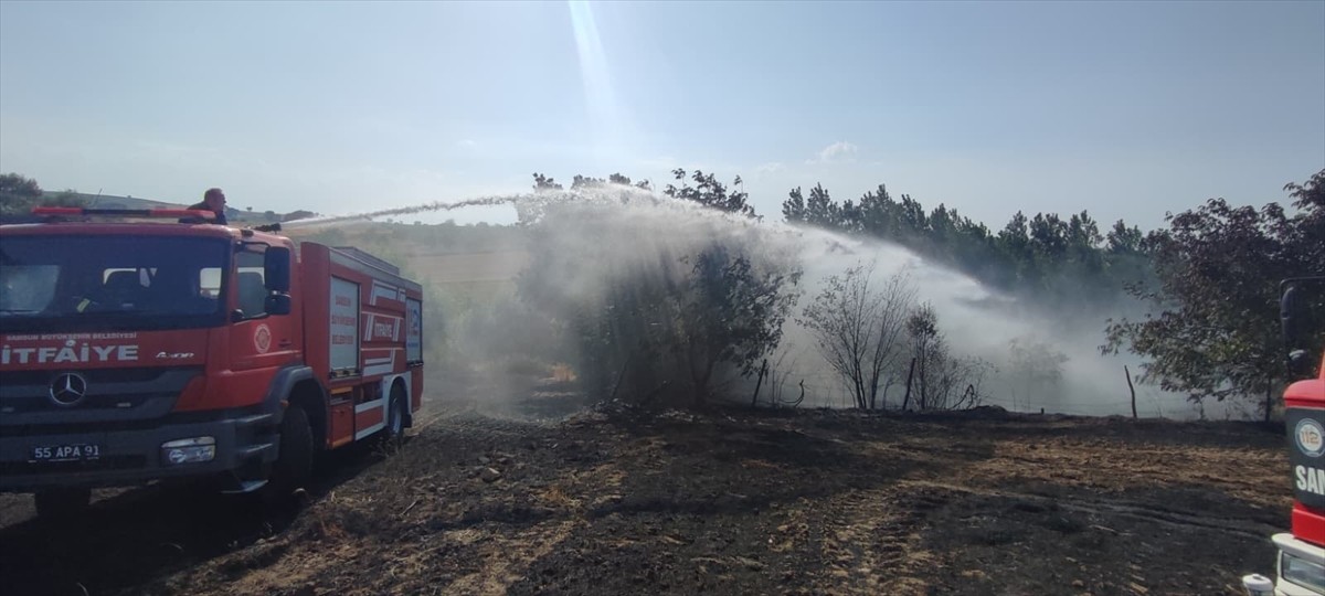 Samsun'un Ladik ilçesinde ekili arazide çıkan yangında 40 dönüm alanda zarar oluştu.