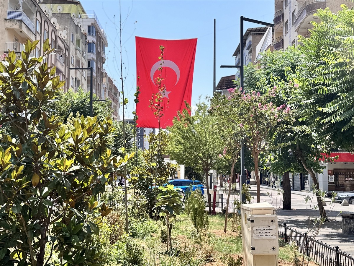 Siirt'te, "Terörsüz Türkiye"ye destek için kamu binalarına ve bazı caddelere Türk bayrakları...