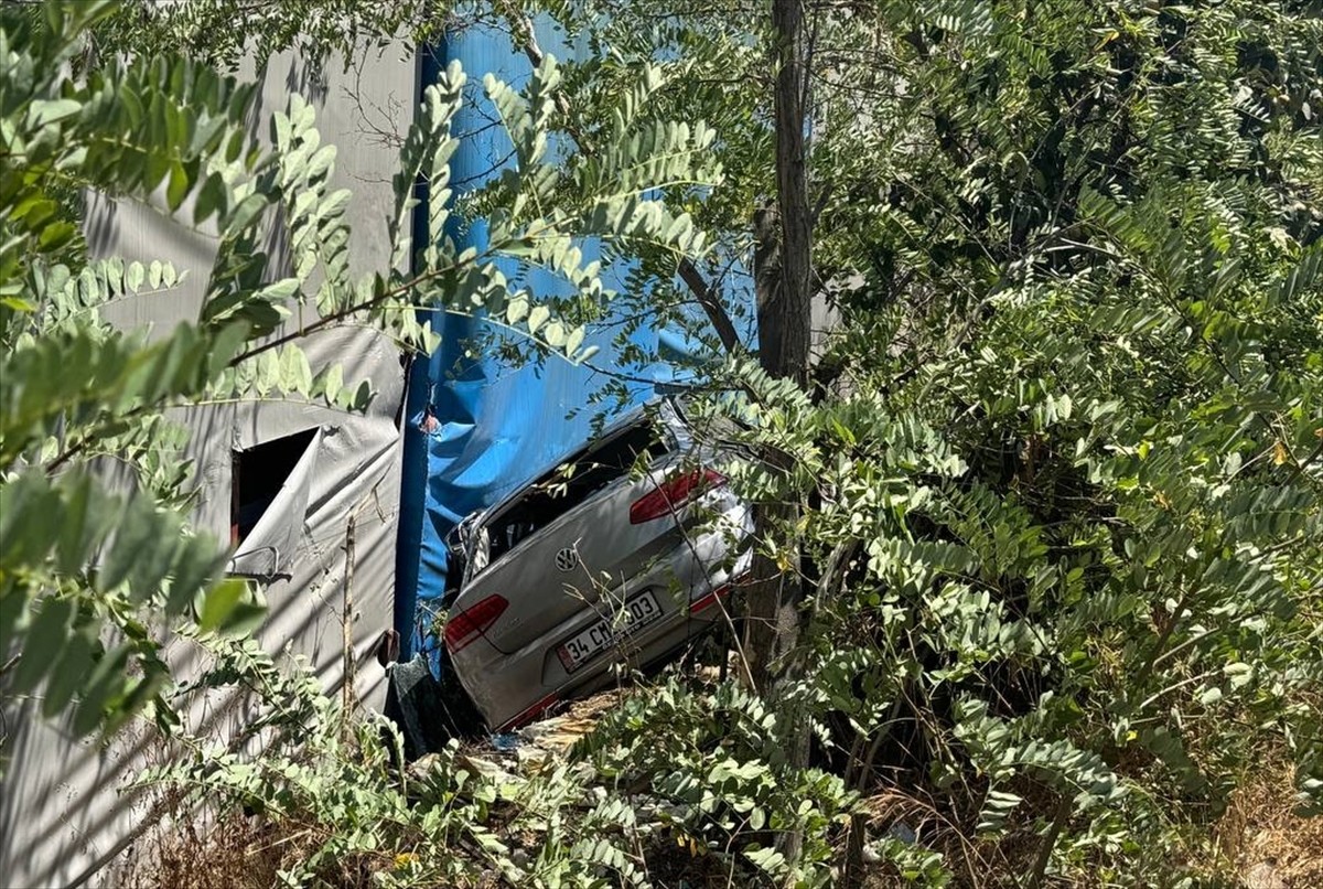 Sultanbeyli'de yol kenarındaki otluk alana devrilen otomobilin sürücüsü yaralandı.