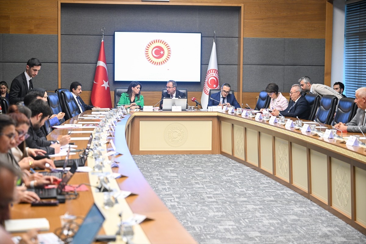 TBMM Engelli Bireylerin Sorunlarını Araştırma Komisyonu, AK Parti İzmir Milletvekili Mehmet...