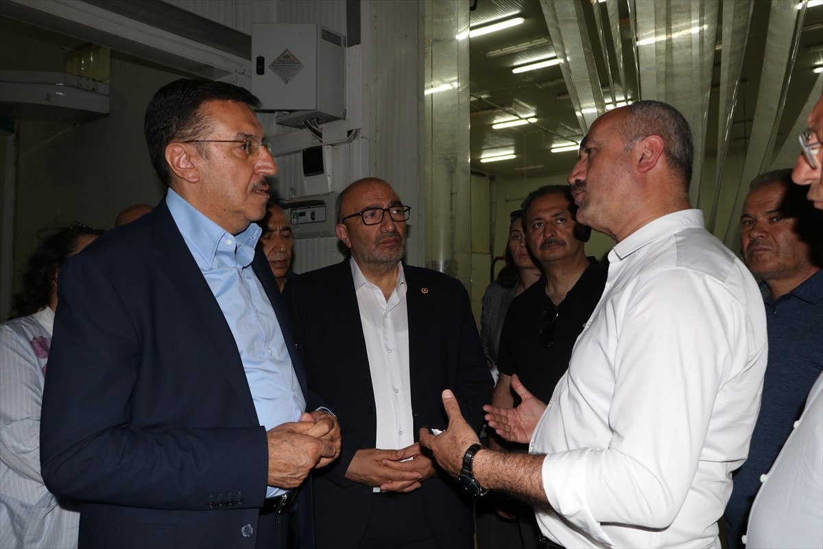 TBMM Zirai Don Olayını Araştırma Komisyonu üyeleri, Eskişehir'in Mihalıççık ilçesinde zirai dondan...