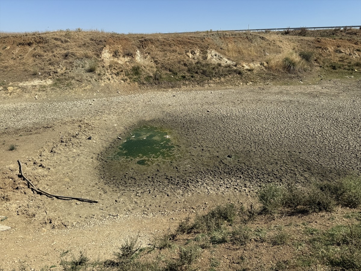 Tekirdağ'da yaz aylarının kurak geçmesi nedeniyle suların çekildiği Çakıl Göleti'nde çok sayıda...