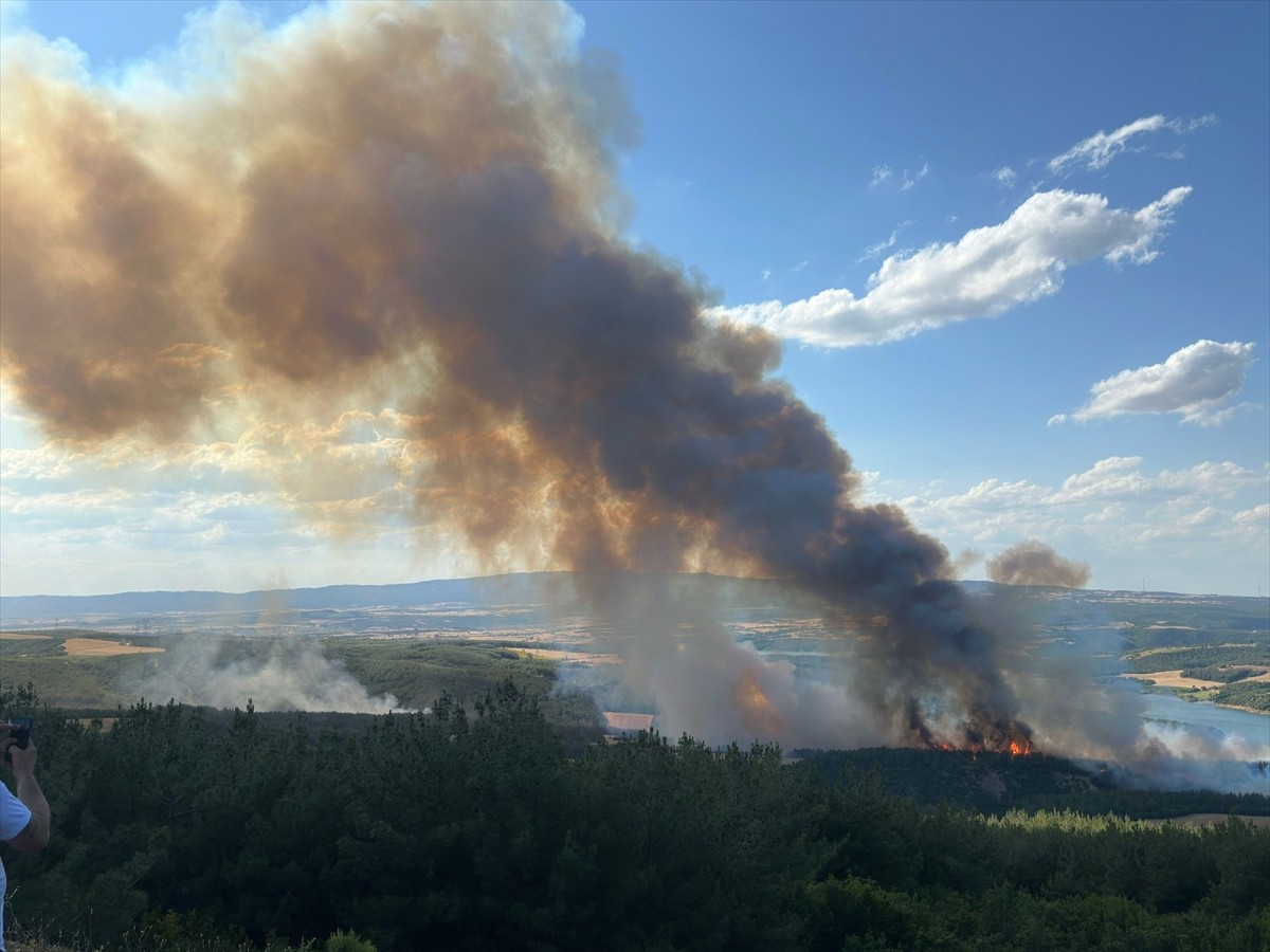 Tekirdağ'ın Şarköy ilçesi Çokal Barajı yakınlarında orman yangını çıktı.