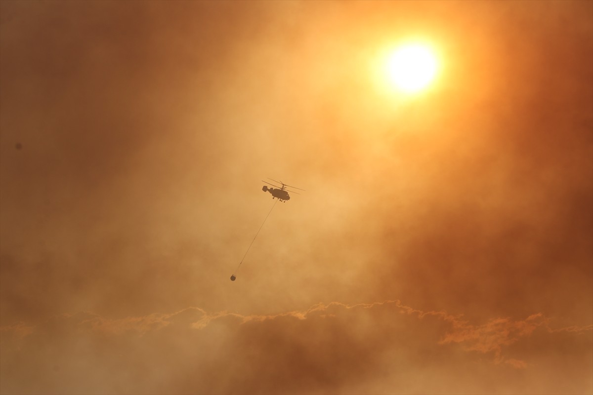 Tekirdağ'ın Şarköy ilçesi Çokal Barajı yakınlarındaki orman yangınına müdahale...