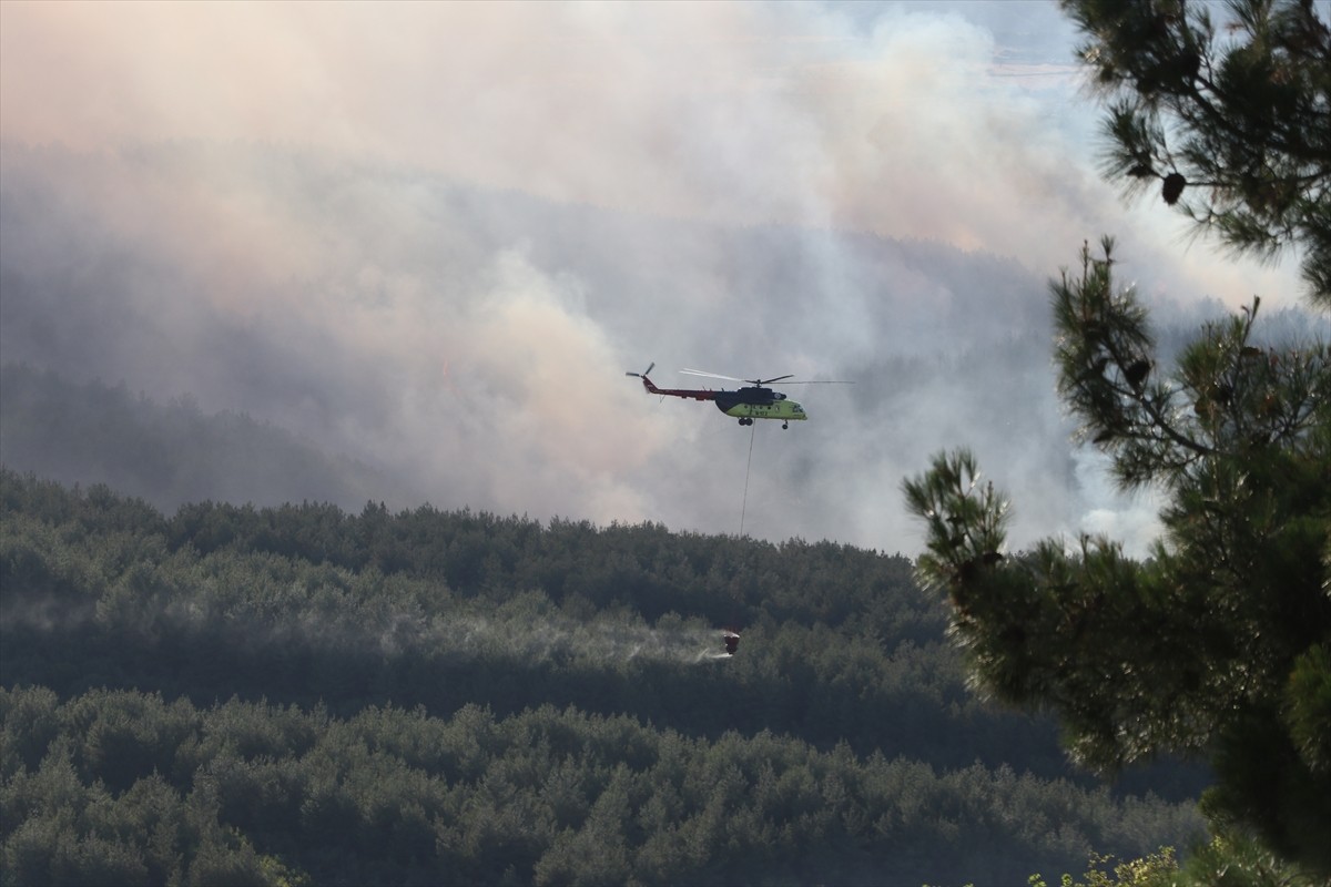 Tekirdağ'ın Şarköy ilçesi Çokal Barajı yakınlarındaki orman yangınına müdahale...
