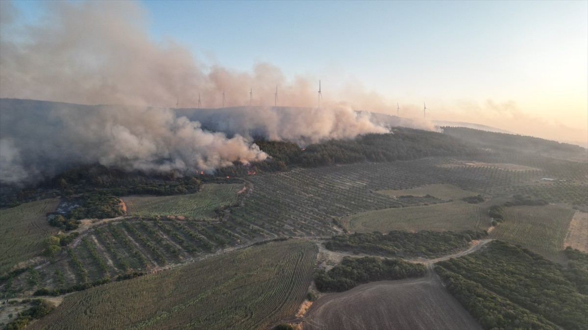 Tekirdağ'ın Şarköy ilçesinde tarım alanında başlayıp ormana sıçrayan yangın yerleşim yerine doğru...
