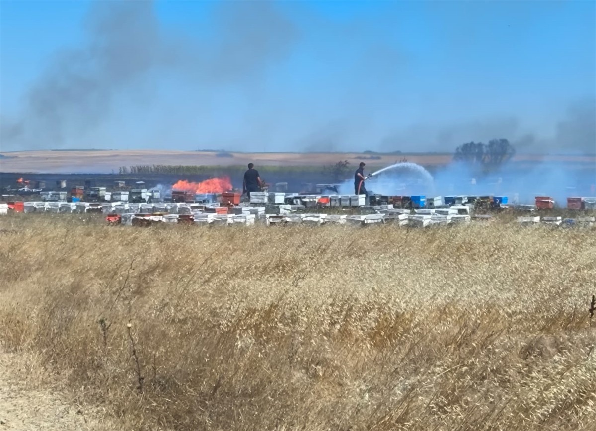 Tekirdağ’ın Hayrabolu ilçesinde çıkan anız yangınında 400 arı kovanı zarar gördü.