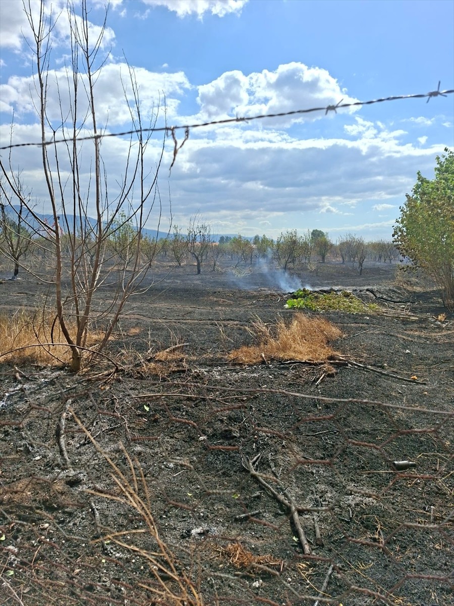 Tokat'ta, Havalimanı yakınlarında bulunan tarlada çıkan anız yangınında, yaklaşık 50 dönüm alan...
