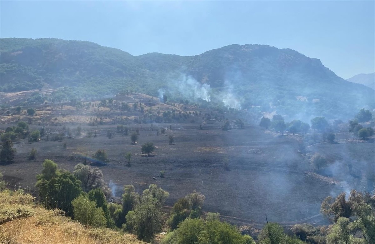 Tunceli'nin Hozat ilçesinde ormanlık alanda çıkan örtü yangını ekiplerin müdahalesiyle...