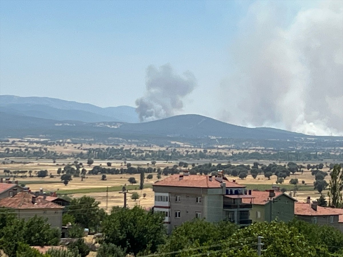 Uşak'ın Sivaslı ilçesinde meşelik alanda çıkan yangına havadan ve karadan müdahale...