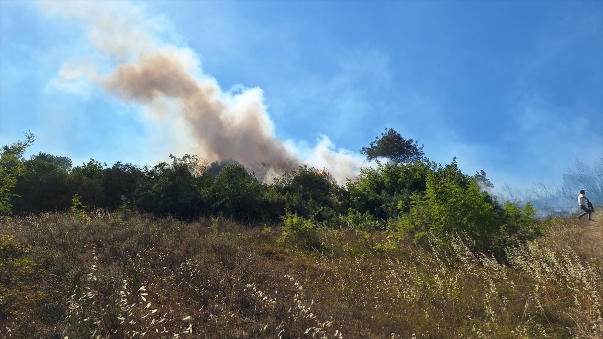 Zonguldak'ın Alaplı ilçesinde başlayan orman yangınına müdahale ediliyor. İhbar üzerine bölgeye...