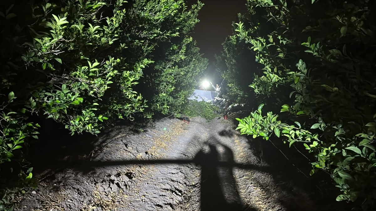 Adana'da bir eğitim uçağının düşmesi sonucu pilot ve bir yolcu yaralandı. Narenciye bahçesine...