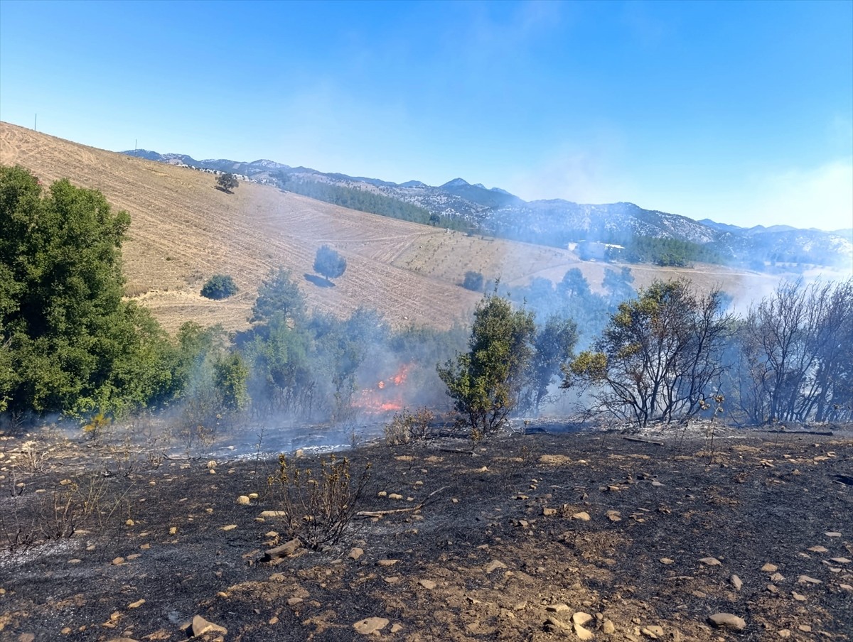 Adana'nın Kozan ilçesinde çıkan orman yangını, ekiplerin havadan ve karadan müdahalesiyle kontrol...