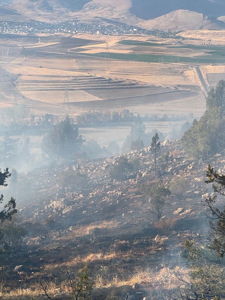 Adana'nın Tufanbeyli ilçesinde anızdan başlayıp ormanlık alana sıçrayan yangın, havadan ve karadan...