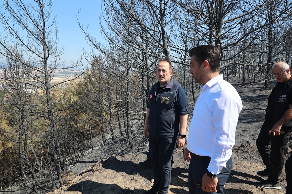 AFAD Başkanı Ali Hamza Pehlivan (sağ 2), Çanakkale merkez ve Bayramiç ilçesinde meydana gelen...