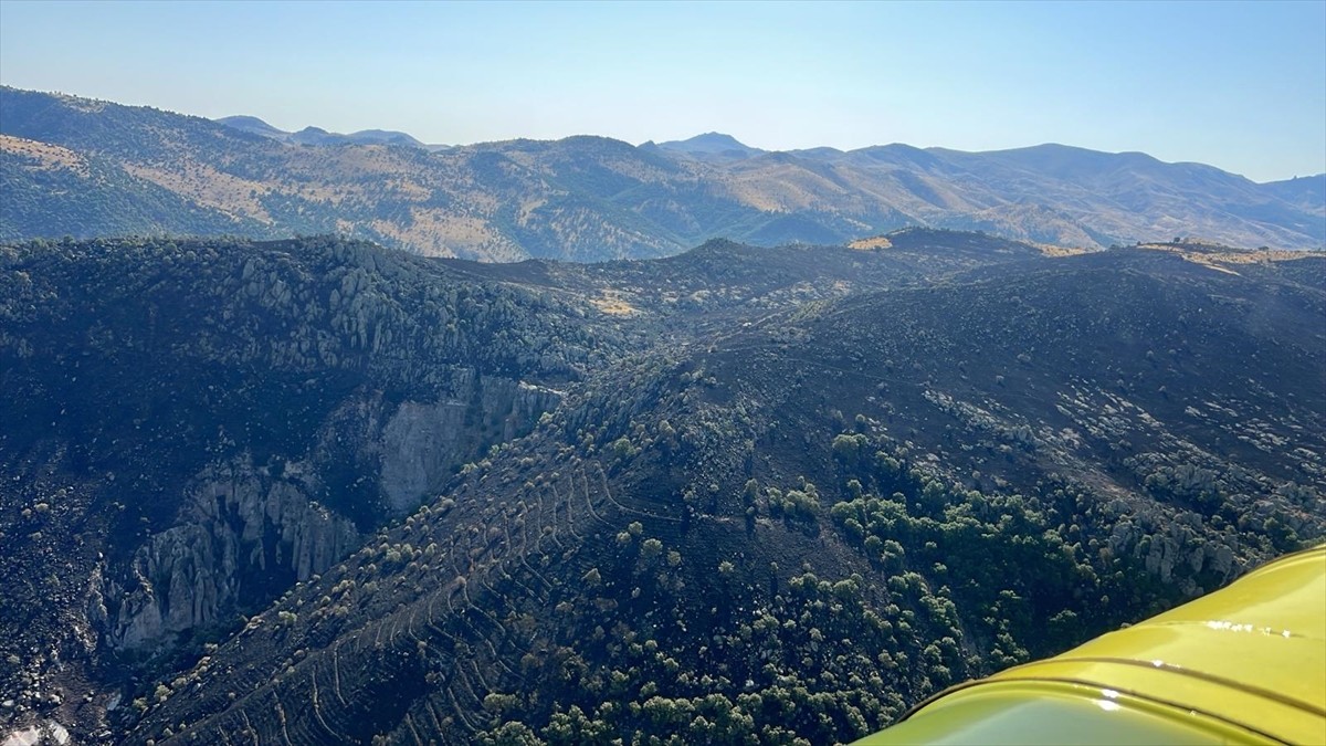 Afyonkarahisar'ın Bolvadin ilçesinde çıkan örtü yangını kontrol altına alındı.