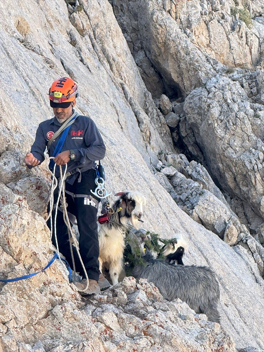Antalya'nın Gündoğmuş ilçesinde dağda mahsur kalan 5 keçi, 9 gün sonra İHH'nın Alanya birimi...